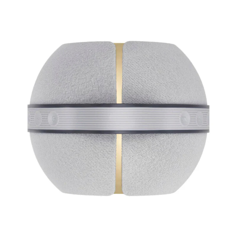 Devialet Mania Portable Smart Speaker